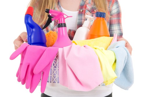 Professional pet stain odour removal service in Addiscombe
