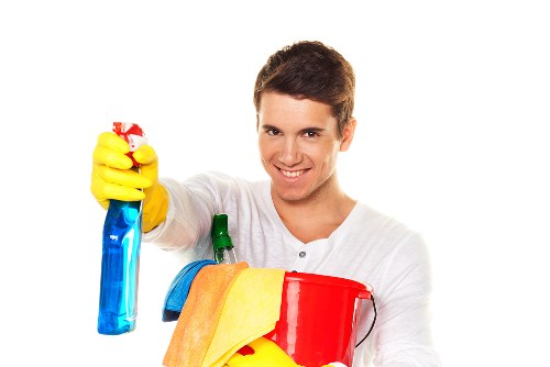 Quick response to a pet accident for odour removal