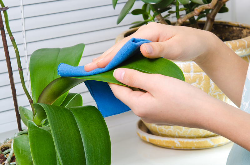 deep cleaning spring cleaning