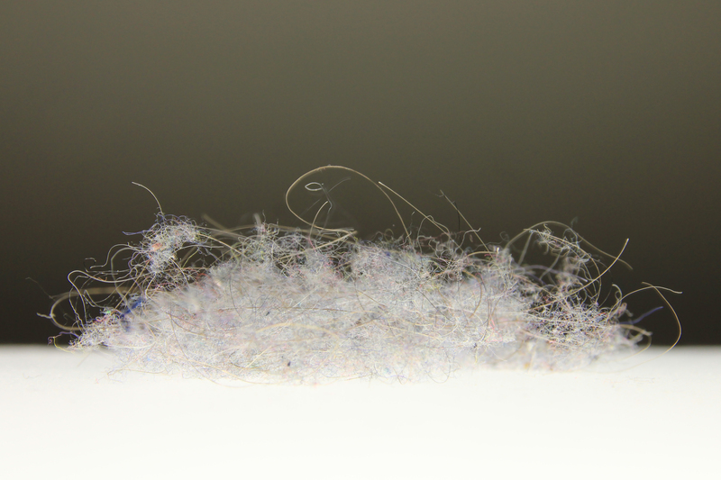 carpet cleaning carpet cleaners